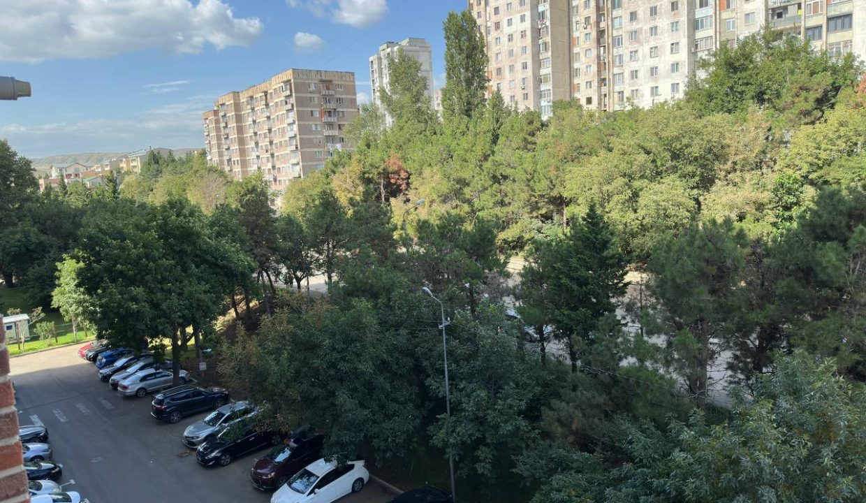 photo_2024-11-05_15-42-21