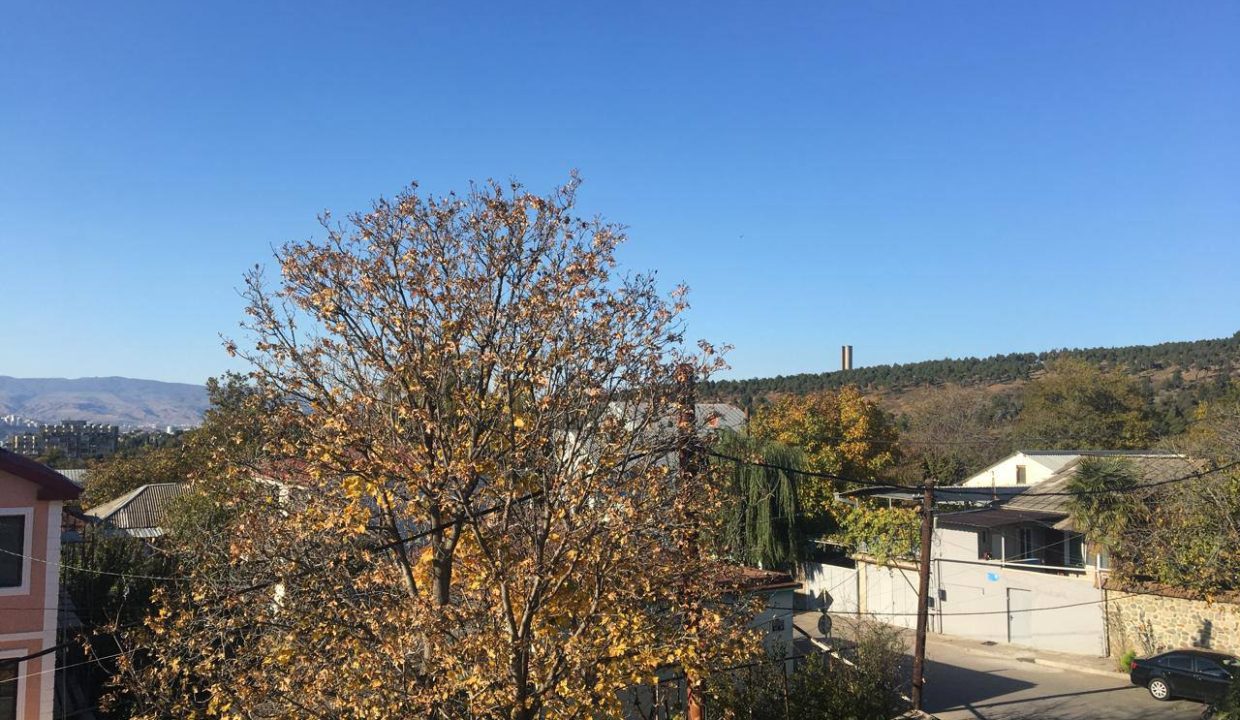 photo_2024-11-22_11-49-50