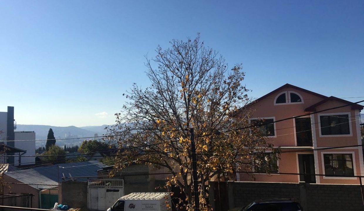 photo_2024-11-22_11-49-54