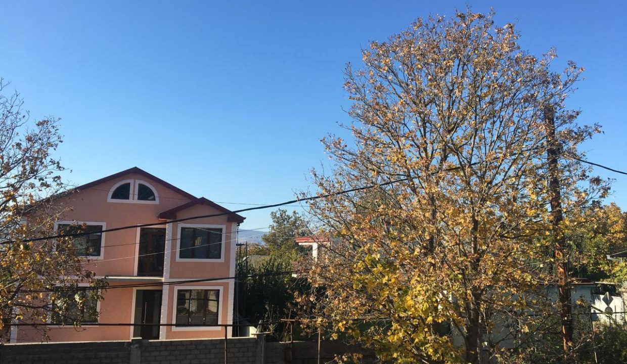 photo_2024-11-22_11-49-55